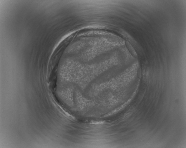 X0000054380484200508270011