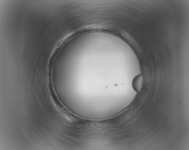 X0000054380486200508270011