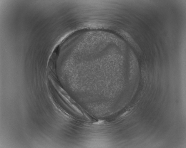 X0000054380488200508270011