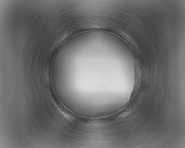 X0000054380489200508270011