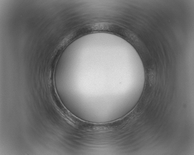 X0000054380490200508270011