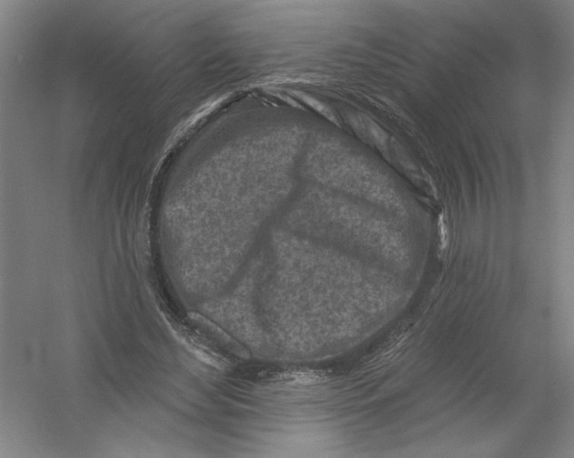 X0000054380492200508270011