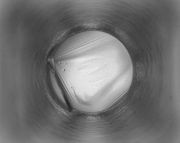 X0000054380494200508270011