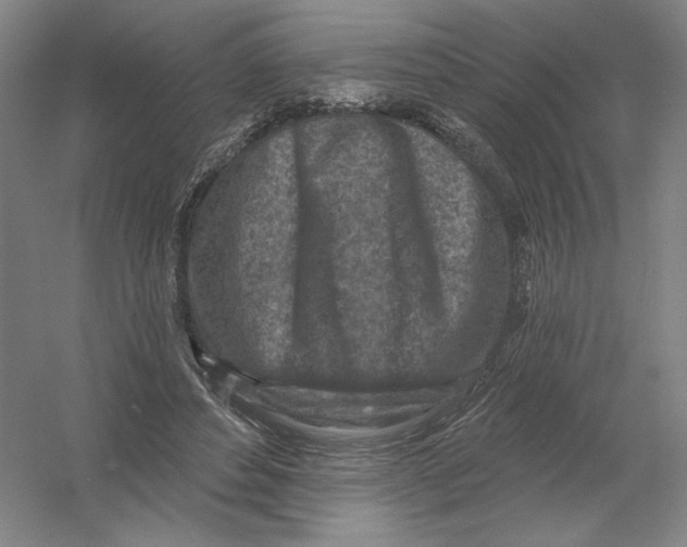 X0000054380496200508270011