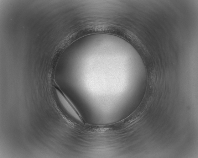 X0000054380497200508270011