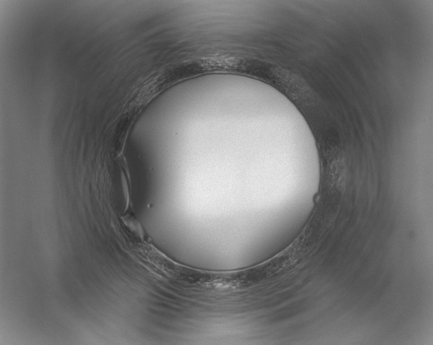 X0000054380498200508270011