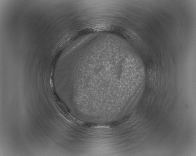 X0000054380499200508270011