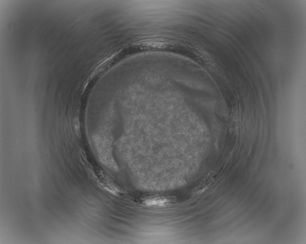 X0000054380500200508270011