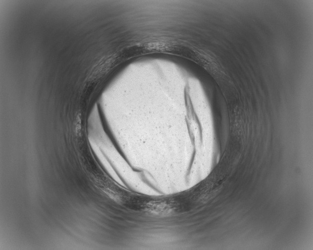 X0000054380502200508270011