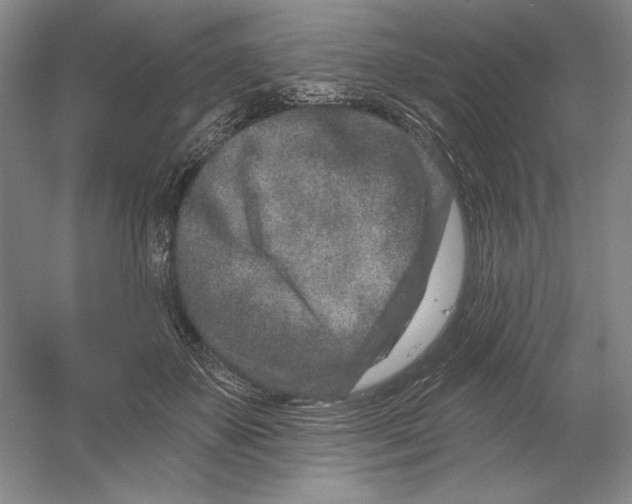 X0000054380507200508270011