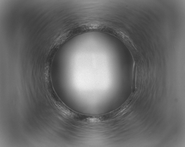 X0000054380509200508270011