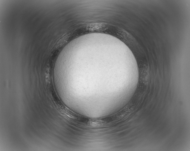 X0000054380510200508270011