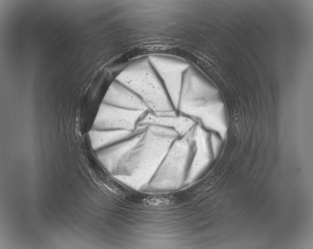 X0000054380512200508270011