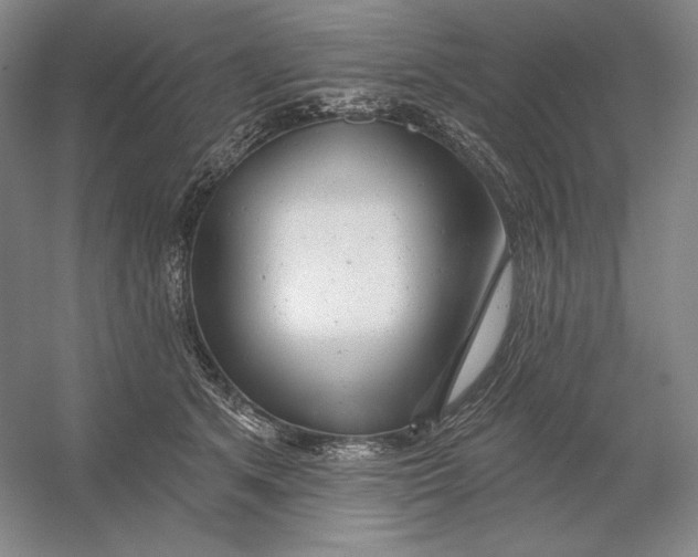 X0000054380513200508270011