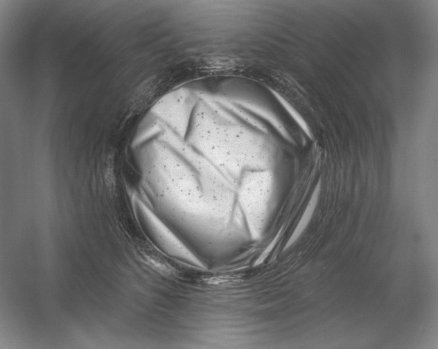 X0000054380516200508270011