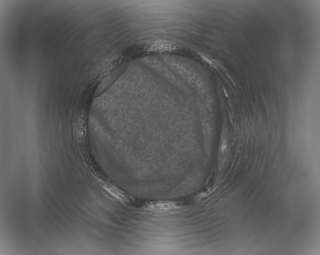 X0000054380517200508270011