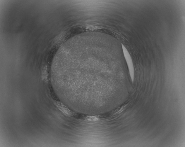 X0000054380519200508270011