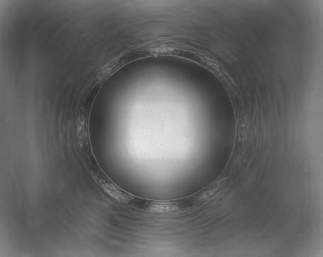 X0000054380521200508270011