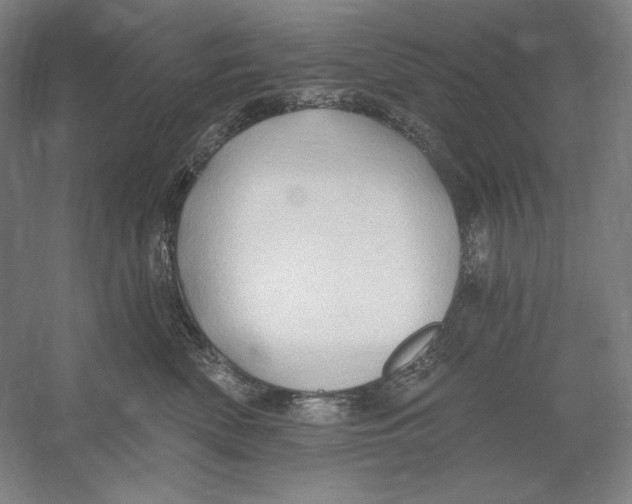 X0000054380522200508270011