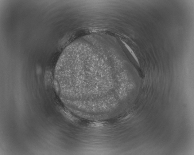 X0000054380523200508270011