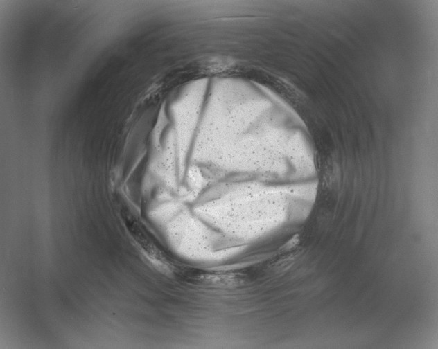 X0000054380524200508270011