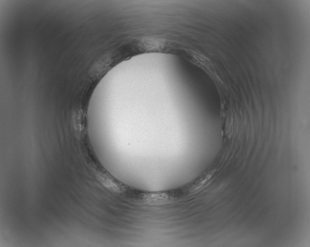 X0000054380525200508270011