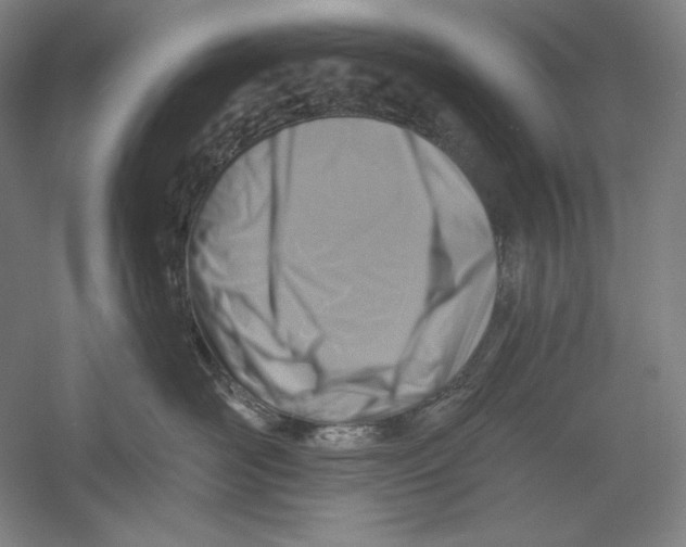 X0000054380526200508270011