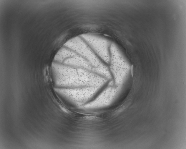 X0000054380528200508270011