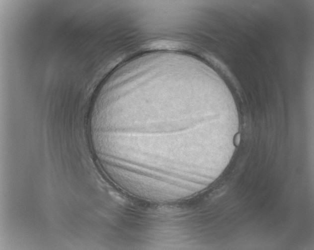 X0000054380529200508270010