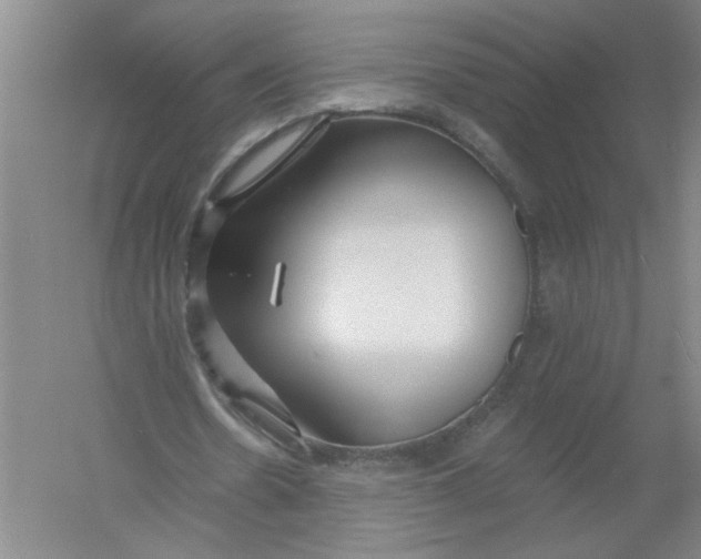 X0000054380530200508270010