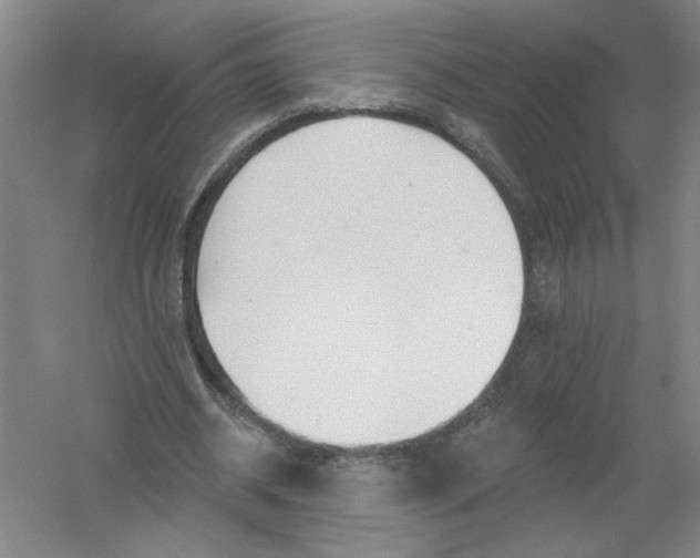 X0000054380534200508270010