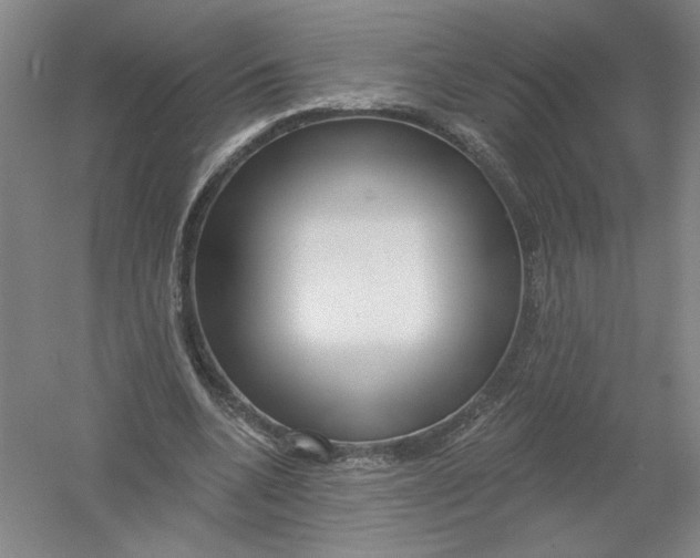 X0000054380536200508270010