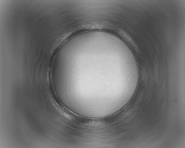 X0000054380537200508270010