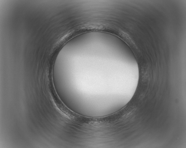 X0000054380538200508270010