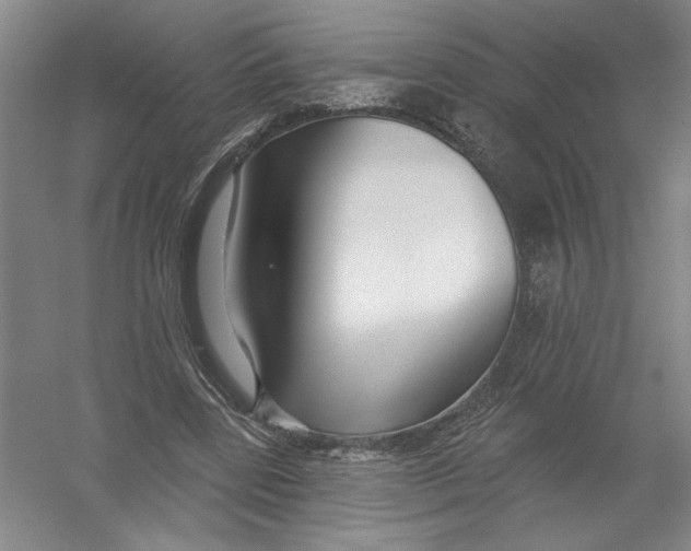 X0000054380539200508270010