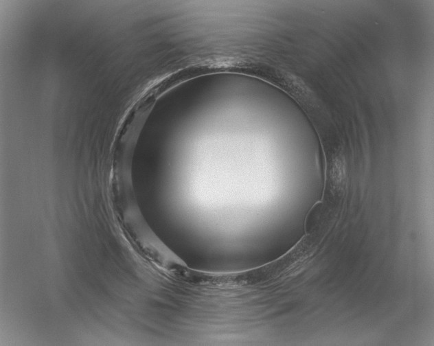 X0000054380540200508270010