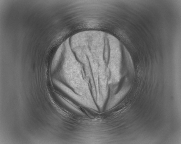 X0000054380542200508270010