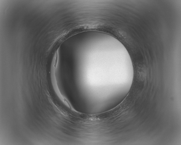 X0000054380543200508270010