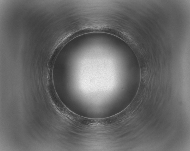 X0000054380544200508270010