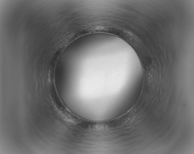 X0000054380546200508270010