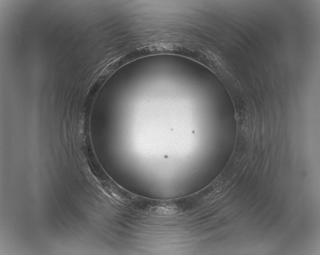 X0000054380548200508270010