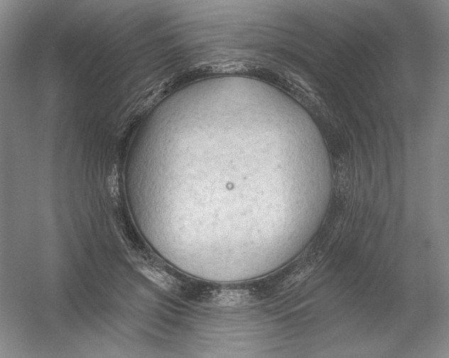 X0000054380549200508270010