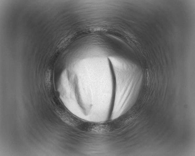 X0000054380550200508270010