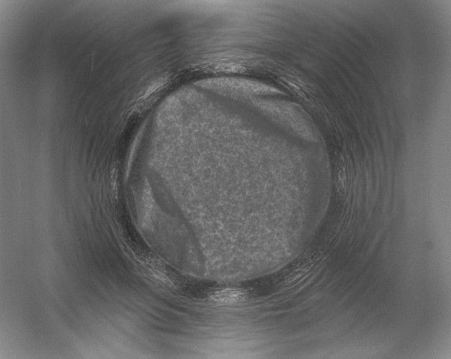 X0000054380551200508270010