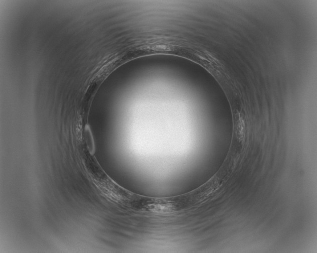 X0000054380552200508270010