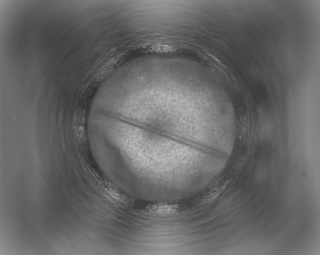 X0000054380553200508270010