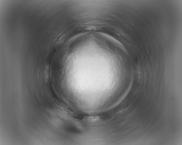 X0000054380554200508270010