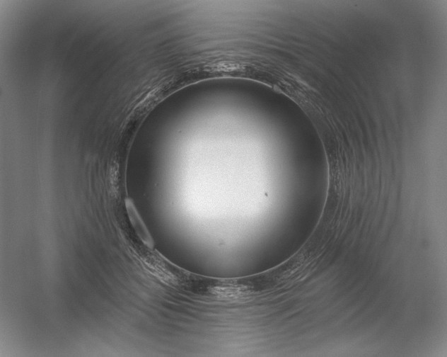 X0000054380556200508270010