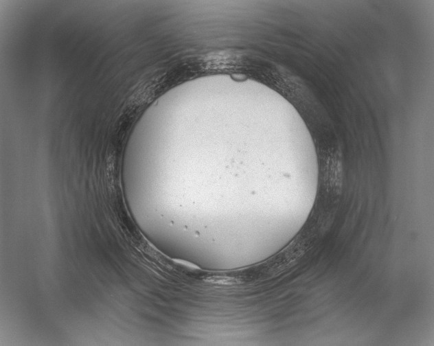 X0000054380557200508270010