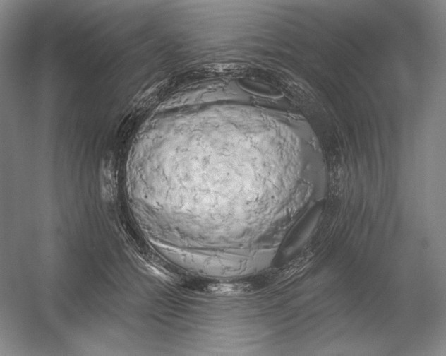 X0000054380558200508270010